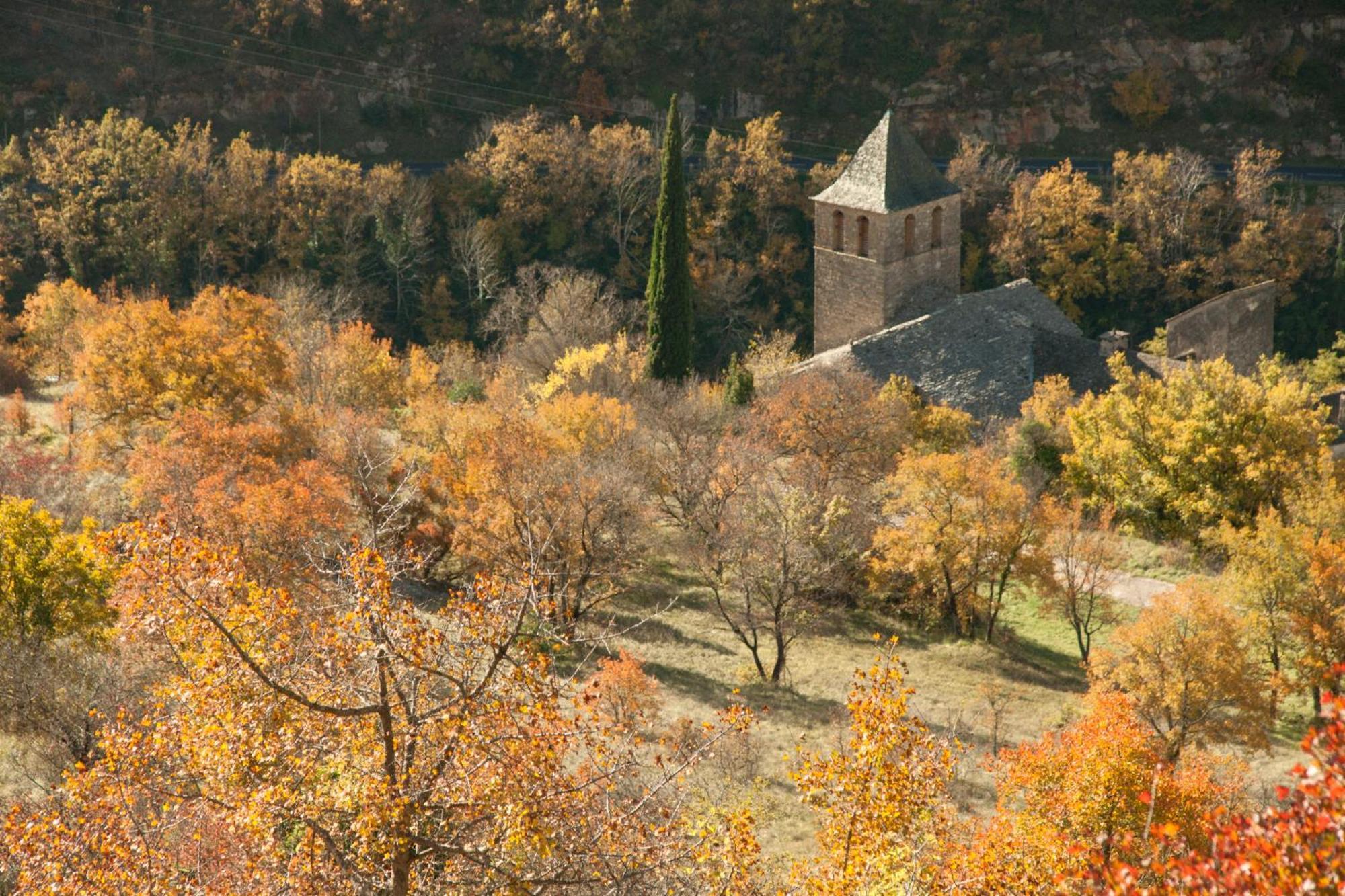 Le Colombier Saint-Veran La Roque-Sainte-Marguerite Exterior photo